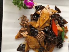 -云中小雅