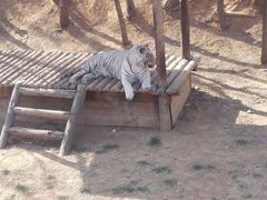 -石家庄市动物园