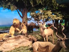 -国家自然博物馆