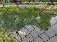 -武汉动物园
