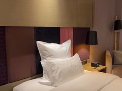 -南京禄口机场雅高铂尔曼大酒店