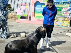 -烟台海昌鲸鲨海洋公园