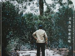 -七彩云南茶(七彩云南第壹城店)