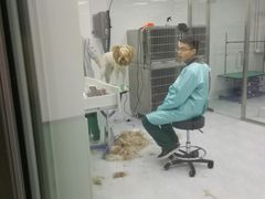 -欧奕国际动物医院