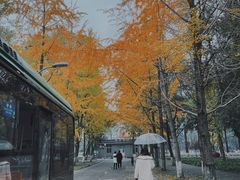 -四川大学(望江校区)