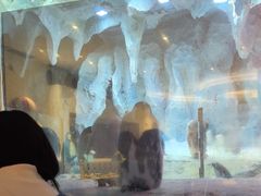 -帝企鹅自助餐厅•儿童岛•真企鹅(长隆企鹅酒店)