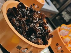 -龍歌自助小火锅(李沧顺和汇店)