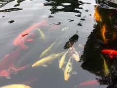 -国色天乡三期陆地乐园