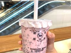 多肉桑莓莓-我是酸奶君(壹方城店)