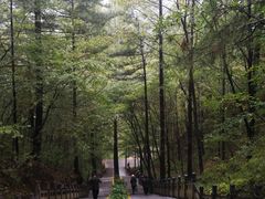 -洛阳白云山景区