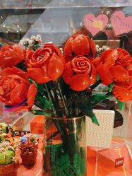 -乐高授权专卖店(中关村领展店)