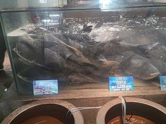 -上名堂·鱼头好吃(体育场路店)