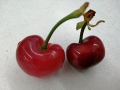 -水果地带(天顺路店)