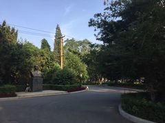 -辽宁省实验中学