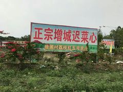 -荔枝红五号农庄