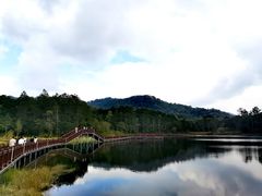 -海南热带雨林国家公园吊罗山景区