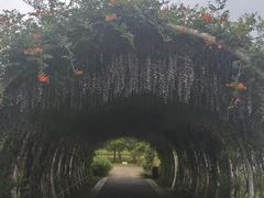 -同里国家湿地公园