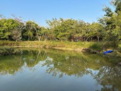 -福田红树林生态公园