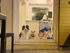门面-餐酒吧Com-ing Bar(上海路店)