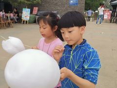 -秀丽东方