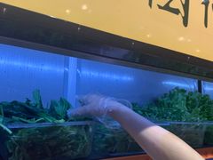 -杨国福麻辣烫(龙阳广场店)