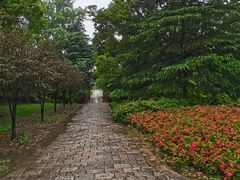 -上海滨江森林公园