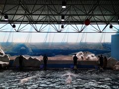 -秦皇岛乐岛海洋王国