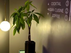 -良木缘咖啡西餐(太古里店)