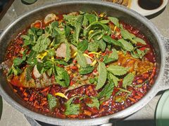 -黔渔翁豆花渎鱼(喷水池店)