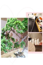 -JNK皮肤管理中心