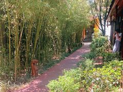 -阿斯牛牛十二餐厅•四季餐厅(民族大道店)