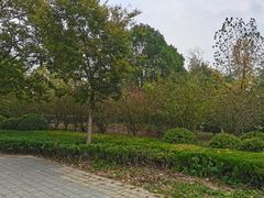 -河海大学(江宁校区)