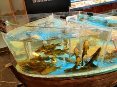 海鲜全家福水饺-小平岛開海水饺(浑南店)