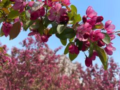 -长白岛森林公园