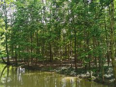 -桤木河湿地公园