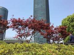 -北外滩滨江绿地