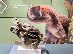 -遇见博物馆(遇见海洋沉浸式奇幻光影展)