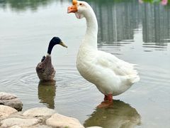 -太阳宫公园