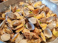 -开海·红岛海鲜虾水饺(石老人店)