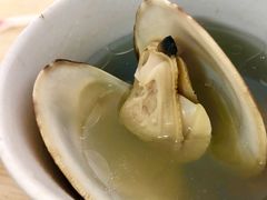 -广达眼镜炖罐(广达店)