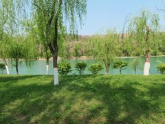 -黄河小浪底水利枢纽风景区