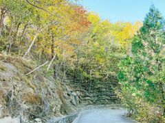 -鹫峰国家森林公园