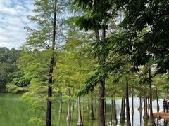 -华南国家植物园-售票处