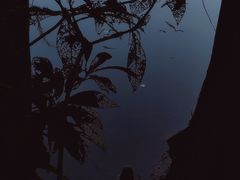 -厦门园林博览苑