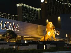 -澳门威尼斯人综合度假区