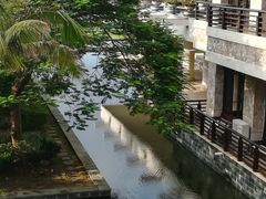-采粤轩中餐厅(惠州金海湾喜来登度假酒店)