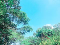 -红花湖景区