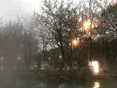 -洪湖悦兮半岛国际温泉度假村