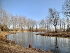 -东郊湿地公园