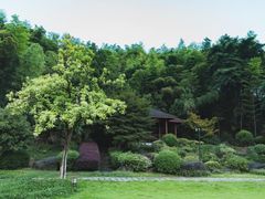 -四明山国家森林公园
